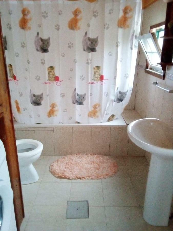 شقة A Casa Do Jesus Al Lomba  المظهر الخارجي الصورة